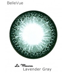 Bellevue - Le Mimosa - Lavender Gray